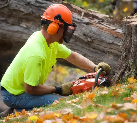 tree services Smiths Grove